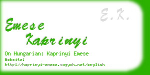 emese kaprinyi business card